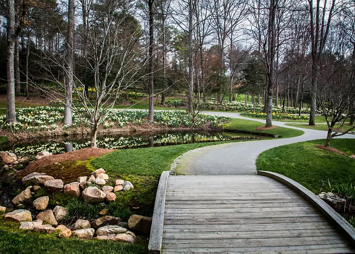 Forrest Hills Mountain Resort